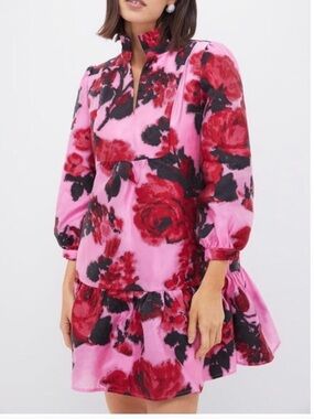 Tuckernuck Pink and Red Floral Mini Dress